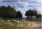 unknow artist Sheep 185 oil painting reproduction